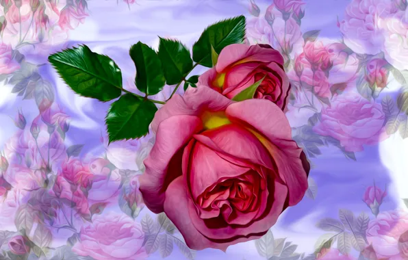 Grafika, Kwiat, Róza