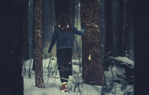 Зима, лес, снег, деревья, Девушка, girl