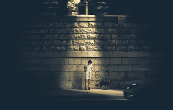 Light, girl, wall, woman, dog, glow, street, halo