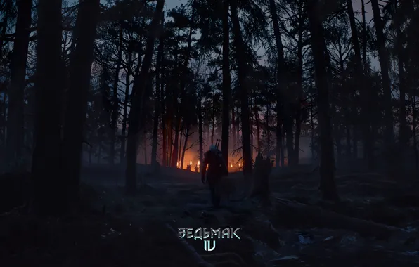 Игра, Лес, Цири, screen shot, Ведьмак 4