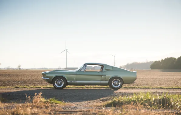 Mustang, Ford, Shelby, GT500, 1967, musclecar