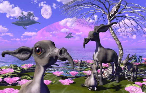 Растительность, планета, существа, kleiner nasenesel, Small Long Nose Donkeys