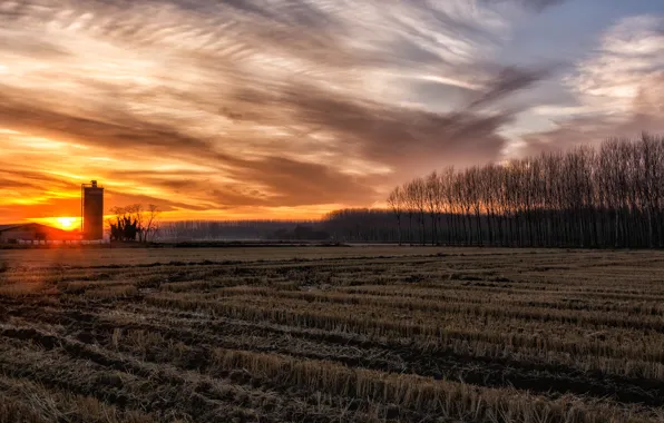 Картинка поле, небо, закат