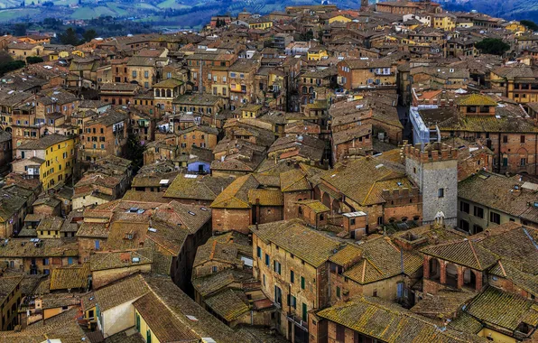 Картинка дома, крыши, Италия, Сиена