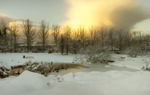 Ice, twilight, river, trees, bridge, sunset, winter, clouds