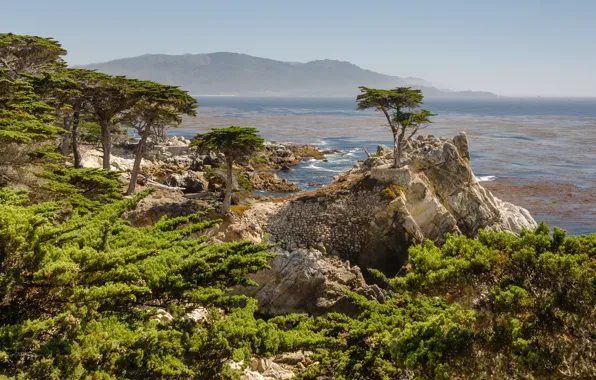 Горы, побережье, Калифорния, coast, California, mountains, Monterey County, округ Монтерей