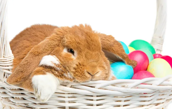 Картинка корзина, кролик, Пасха, happy, rabbit, spring, Easter, eggs