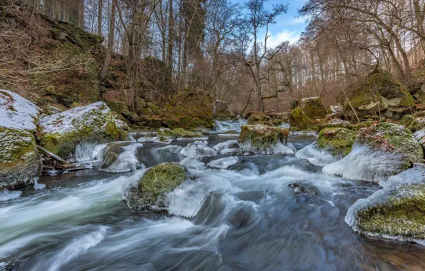 Картинка лес, камни, мох, лёд, Германия, речка, frozen, South Eifel