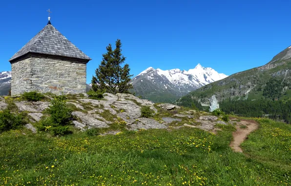 Österreich, Berg, Wiese, Blick zum Großglockner, am Kasereck, Himmel
