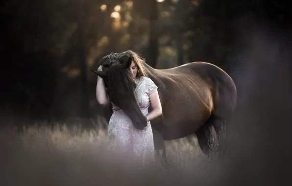 Картинка девушка, природа, конь