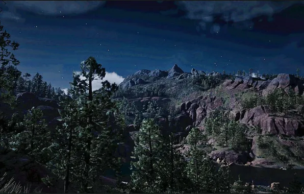 HDR, Clouds, Sky, Stars, Wood, Water, Mountain, Night