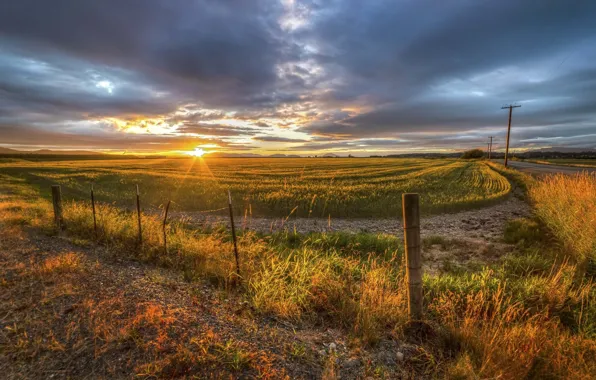 Картинка поле, пейзаж, закат, природа, красота, nature