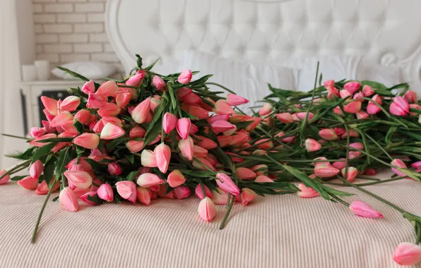 Тюльпаны, розовые, бутоны, много