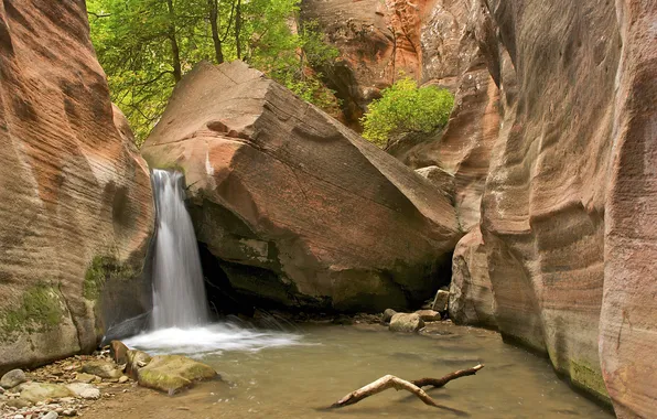 Картинка деревья, камни, скалы, водопад, каньон, ущелье, Zion National Park, сша