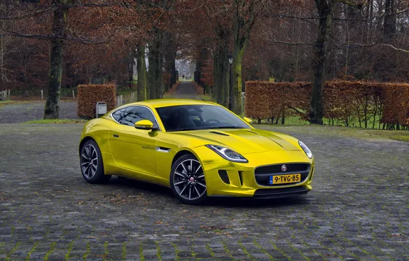 Картинка gold, jaguar, coupe, f-type