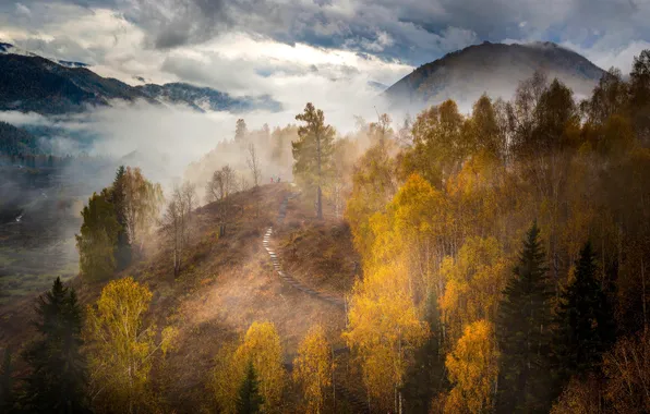 Картинка forest, trees, landscape, nature, clouds, hills, fall, Kazakhstan