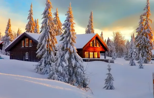 Картинка зима, лес, небо, снег, деревья, пейзаж, природа, дом