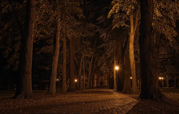 Картинка Landscape, Czech republic, Alley at night