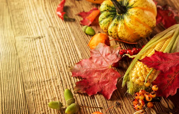 Картинка осень, листья, ягоды, дерево, кукуруза, урожай, тыква