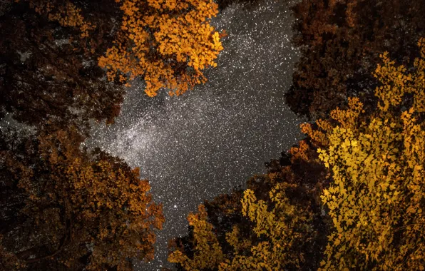 Осень, небо, photo, photographer, ночное, Greg Stevenson, звездное
