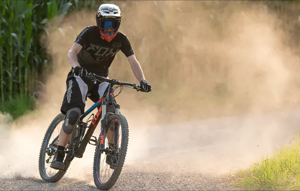 Sport, bicycle, fox, men