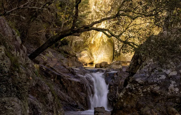 Горы, природа, река