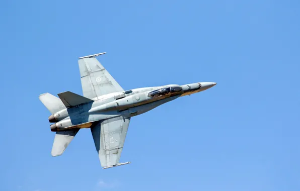 Картинка истребитель, полёт, CF-188 Hornet