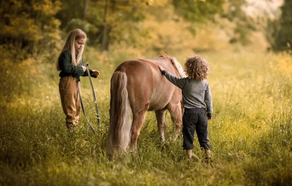 Картинка лето, природа, дети, детство, настроение, лошадь, мальчик, деревня