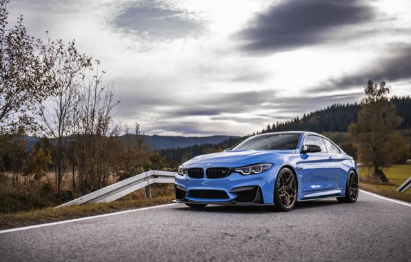 Осень, BMW, Blue, Autumn, Road, F82