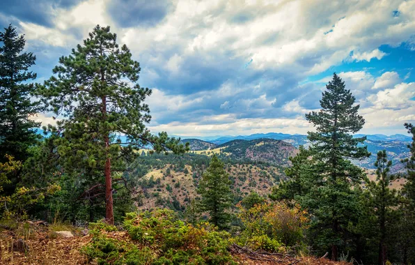 Небо, облака, деревья, горы, природа, сосна