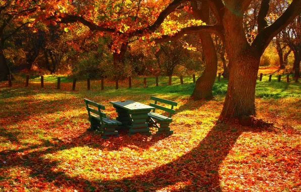 Картинка листья, деревья, стол, забор, Осень, скамейки