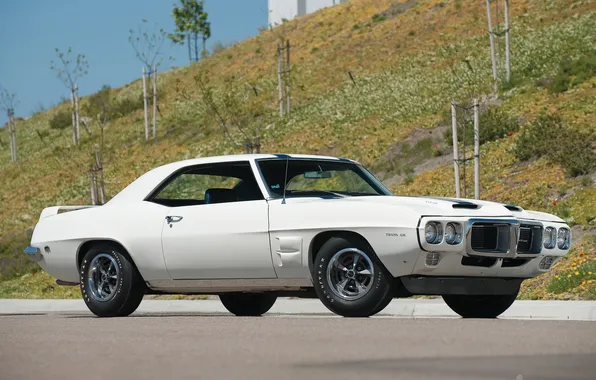 Белый, мощь, 1969, Pontiac, Firebird, Trans Am