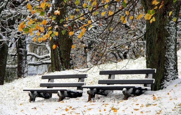 Картинка зима, снег, скамейки