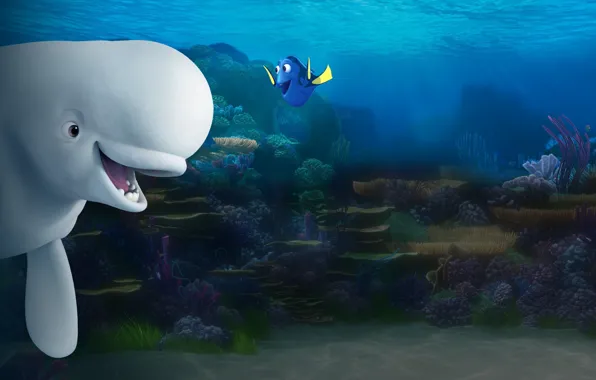 Cinema, movie, animal, friendship, fish, film, whale, Dory