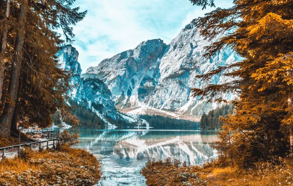 Деревья, горы, озеро, trees, mountains, lake