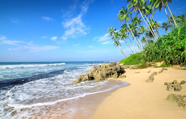 Песок, море, пляж, пальмы, берег, summer, beach, sea