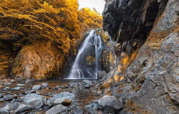 Картинка осень, лес, деревья, камни, скалы, водопад, желтые, водоем