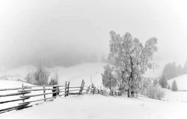 Картинка зима, снег, деревья, забор
