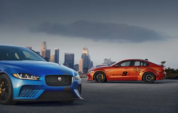 Jaguar, Orange, Blue, XE, SV Project 8