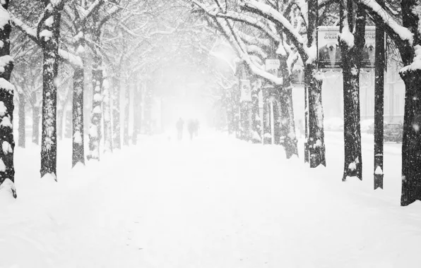 Картинка холод, зима, иней, дорога, женщины, девушка, деревья, снежинки