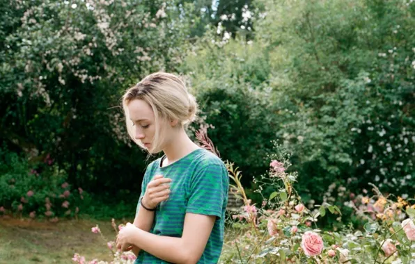 Daisy, How I Live Now, Как я теперь живу