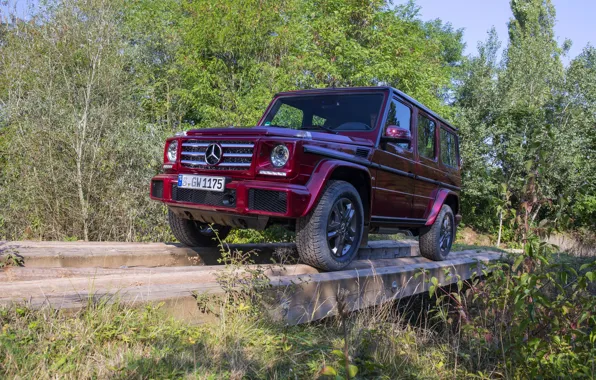 Картинка Mercedes-Benz, внедорожник, брёвна, G500, G-Class, 2015, G 500, V8 Biturbo