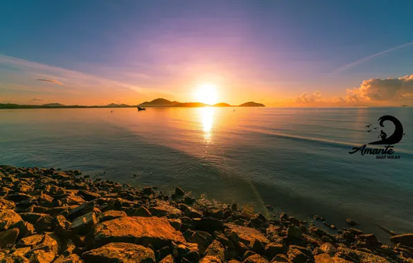Logo, sunset, paisagem, amante