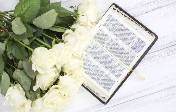 Букет, Книга, бутоны, Белые розы