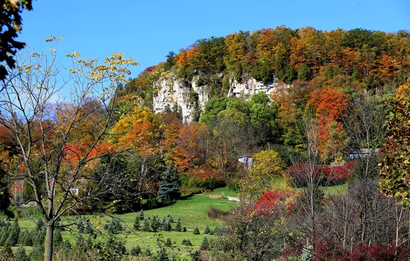 Картинка осень, трава, деревья, горы, дома, склон, Канада, Онтарио
