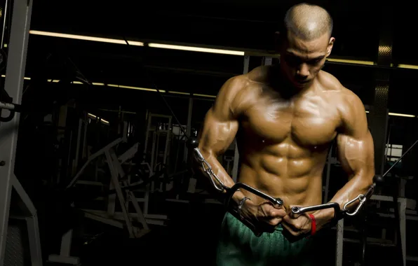 Поза, muscle, мышцы, пресс, тренировка, атлет, тренажеры, бодибилдер