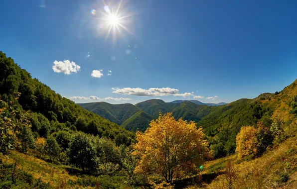 Картинка осень, лес, небо, солнце, деревья, горы, Болгария, Bulgaria