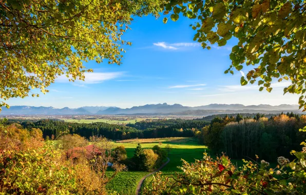 Картинка осень, деревья, долина