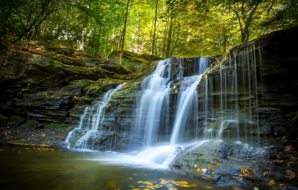 Осень, лес, водопад, Пенсильвания, каскад, Pennsylvania, Ricketts Glen State Park
