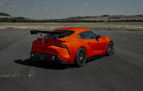 Toyota, спортивный автомобиль, 2023, Toyota GR Supra GT4